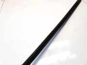 Zierleiste Leiste - Vorne Rechts Skoda Superb, II 2008.03 - 2013.06 Gebraucht,