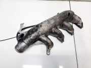 Ansaugkrümmer Renault Scenic, I 1996.01 - 1999.09 7700101117,