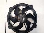 Kühlerlüfter Lüftermotor Citroen C5, II 2008.02 - 2011.01 Gebraucht,