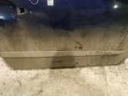 Zierleiste Tür Zier-Schutzleiste - Vorne Rechts Renault Modus I 2004.01 - 2007.12 Gebraucht,