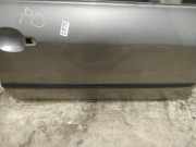 Zierleiste Tür Zier-Schutzleiste - Vorne Rechts Peugeot 307, 2000.08 - 2005.06 Gebraucht,