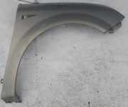 Kotfl?gel - Vorne Rechts Renault Scenic, II 2003.06 - 2006.06 pilka,