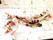 Kopfairbag - Vorne Rechts Toyota RAV-4, II 2000.09 - 2005.11 004567003sd8,