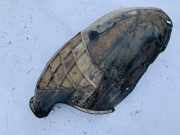 Radhausschale - Hinten Linke Opel Astra, H 2004.03 - 2009.12 13107660,