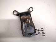 Türscharnier Vorne Chevrolet Captiva, 2006.01 - 2011.06 Gebraucht,