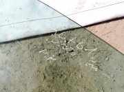 Seitenscheibe - Vorne Linke Toyota Previa, 2000.02 - 2006.01 Gebraucht ,