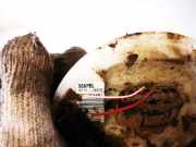 Kraftstoffpumpe Ford Focus, 1998.10 - 2002.10 98apbl,