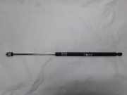 Gasdruckfeder Kofferraum Lexus IS, II 2005.10 - 2013.03 4ad25tfg5, 4ad25 tfg5