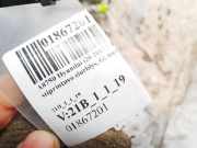 Servopumpe elektrisch Hydraulikpumpe Hyundai i20, 2015 - 2020 mexam2k02025,