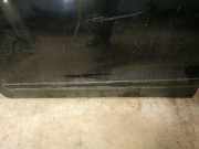 Zierleiste T?r Zier-Schutzleiste - Vorne Linke Honda FR-V, 2004.08 - 2009.12 Gebraucht,