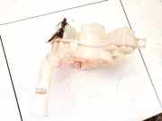 Scheibenwaschbehälter Vorne Wischwasserbehälter Mazda 3, BK 2003.10 - 2009.06 860142721,860142-721