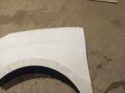 Kotflügel - Vorne Linke Fiat Doblo, 2009.08 --> Gebraucht ,