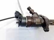 Einspritzdüse Citroen C5, II 2008.02 - 2011.01 0445110297,