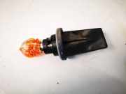 Gl?hbirnenfassung Blinker Renault Scenic, II 2003.06 - 2006.06 Gebraucht,