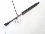 Gasfeder für Motorhaube BMW X5, E53 facelift 2004 - 2006 3466pl0640n,