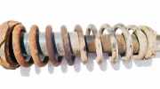 Fahrwerksfeder vorne Rover 45, 2000.02 - 2005.05 Gebraucht,