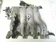 Ansaugkrümmer Hyundai Tucson, I 2004.08 - 2009.06 Gebraucht,