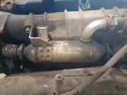 Abgaskühler AGR-Kühler Peugeot 406, 1999.03 - 2004.05 facelift Gebraucht,