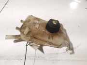 Ausgleichsbehälter Renault Grand Scenic, II 2009.02 - 2013.06 Gebraucht,