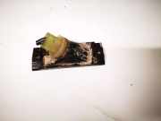 Kennzeichenleuchte Chrysler Grand Voyager, IV 2000.02 - 2008.12 4857322ac,