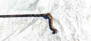 Stabilisator Vorne Volkswagen Passat, B5 1996.08 - 2000.11 Gebraucht, AFN