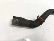 Entlüftungsschlauch Kraftstoffbehälter Citroen C4 Grand Picasso, I 2006.01 - 2013.06 Gebraucht,