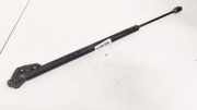 Gasdruckfeder Kofferraum Toyota Corolla Verso, III 2004.05 - 2007 689600F010,68960-0F010