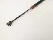 Gasdruckfeder Kofferraum Chevrolet Kalos, 2005.03 - 2011.05 96540939,