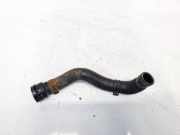 Kühlerschlauch Skoda Octavia, II 2004.02 - 2009.03 Gebraucht,