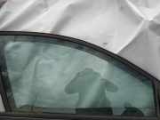 Seitenscheibe - Vorne Rechts Renault Megane, II 2006.06 - 2008.11 facelift Gebraucht,