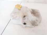 Scheibenwaschbehälter Vorne Wischwasserbehälter Opel Corsa, B 1993.03 - 2000.09 90386397, 0023935