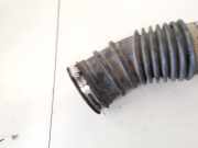 Schlauch für Luftversorgung Chrysler Sebring, III 2007.05 - 2010.12 62243,