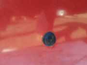 Waschwasserdüse Scheibenreinigung Renault Scenic, I 1996.01 - 1999.09 Gebraucht,