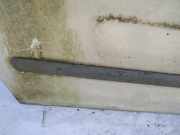 Zierleiste Tür Zier-Schutzleiste - Vorne Linke Ford Transit Connect 2002.06 - 2008.12 Gebraucht,