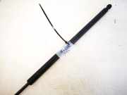 Gasfeder für Motorhaube Peugeot 406, 1999.03 - 2004.05 facelift 9630662480,