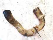 Intercooler Schlauch Fiat Bravo, 2006.11 - 2014 Gebraucht,