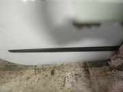 Zierleiste T?r Zier-Schutzleiste - Hinten Rechts Renault Laguna, II 2001.03 - 2006.05 Gebraucht,