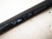 Gasdruckfeder Kofferraum Fiat Ulysse, II 2002.06 - 2014.12 1489342080,