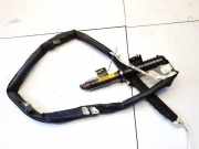 Kopfairbag - Vorne Rechts Renault Scenic, II 2006.06 - 2009.02 facelift 8200432642b,ab984h207