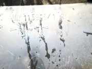 Handschuhfach Mitsubishi Carisma, II 2000.09 - 2006.06 mr1159961,