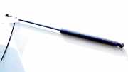 Gasdruckfeder Kofferraum Renault Megane, I 1999.03 - 2002.10 facelift 7700418621,