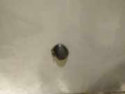 Waschwasserdüse Scheibenreinigung Renault Scenic, I 1999.09 - 2003.06 facelift Gebraucht,