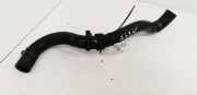 Kühlerschlauch Mazda 2, DY 2003.02 - 2007.10 Gebraucht,