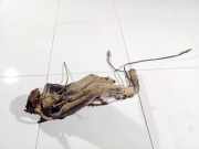 Tankeinfüllstutzen Tankrohr Kraftstoffrohr Audi A6, C5 1997.01 - 2001.08 Gebraucht,