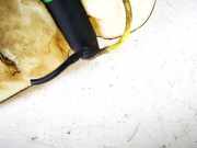 Waschwasserpumpe Scheibenreinigung Citroen Xantia, I 1993.03 - 1998.01 Gebraucht,