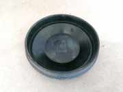 Blende Scheinwerfer - Vorne Renault Scenic, II 2003.06 - 2006.06 153874,