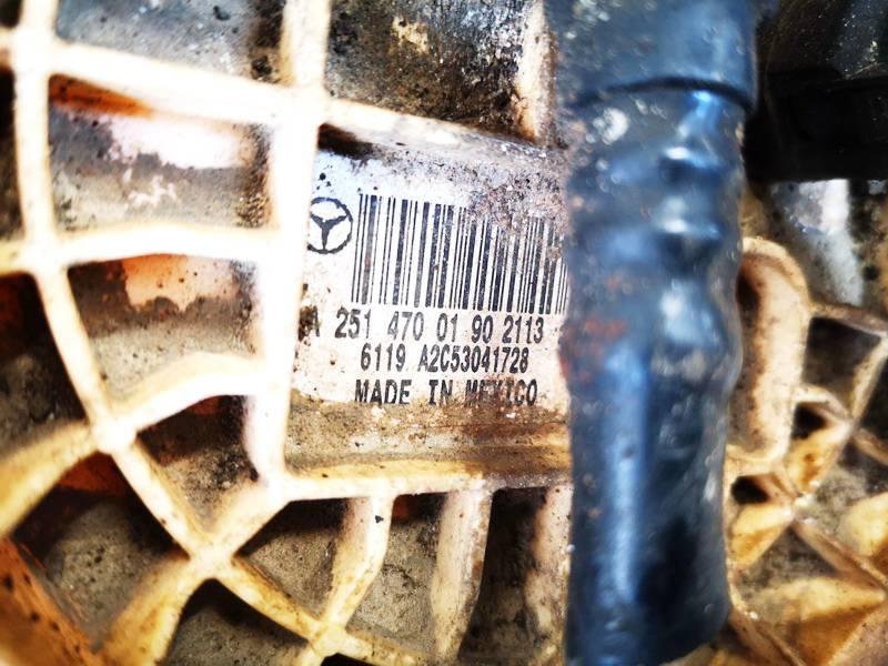Kraftstoffpumpe Mercedes-Benz W251 2005 - 2011 a2514700190,