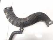 Schlauch für Luftversorgung Renault Megane, II 2006.06 - 2008.11 facelift 8200500384a,