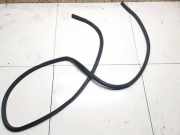 Türdichtung - Hinten Rechts Nissan Leaf, I 2010 - 2017.12 Gebraucht,