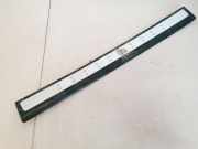 Einstiegsleiste vorne links Renault Scenic, II 2003.06 - 2006.06 8200355563,